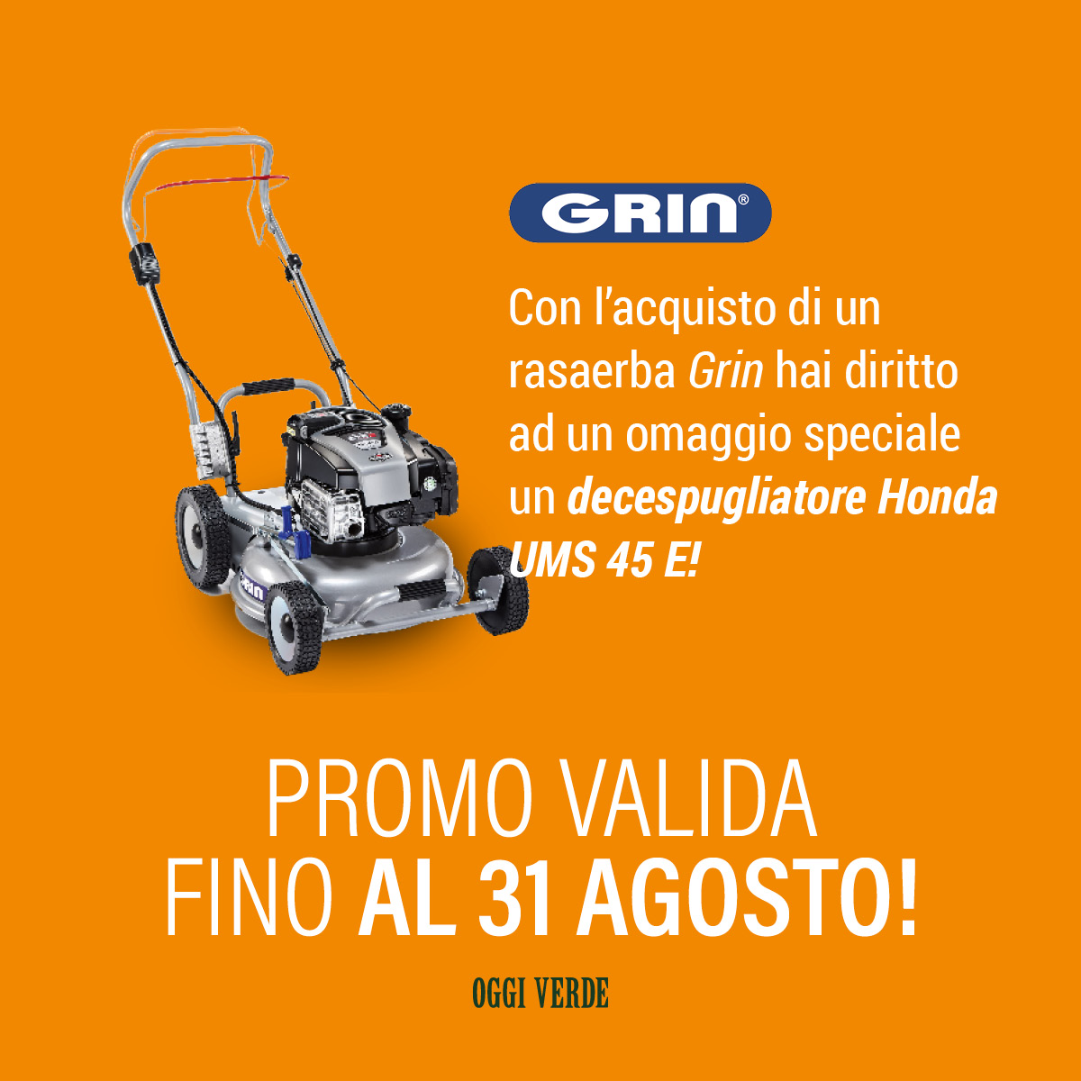 Promozione Oggi Verde + Grin 2023